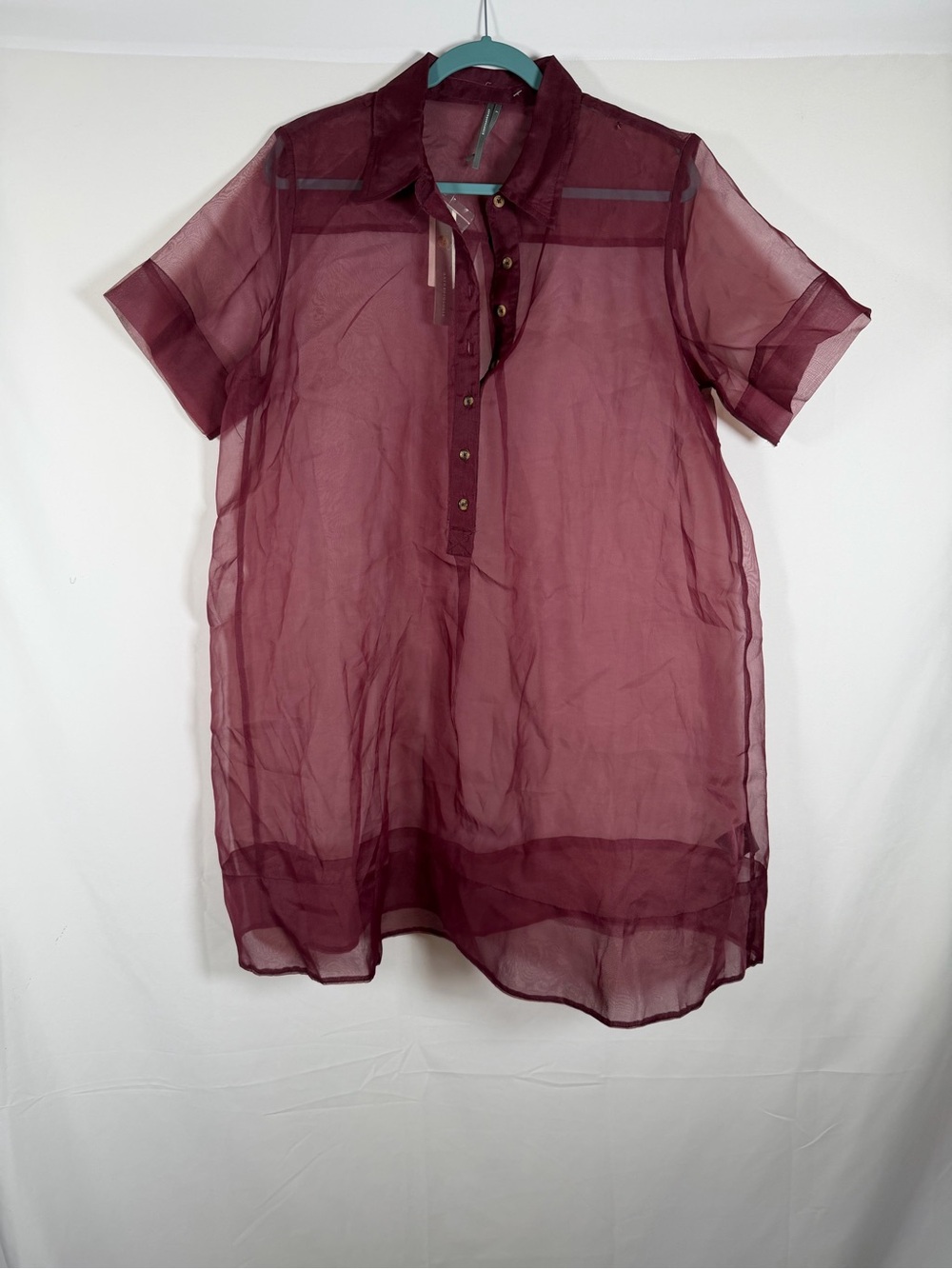 NWT Anthropologie Pollie Swing Tunic - Sheer, Boho, Layering, Whimsical, Fairy